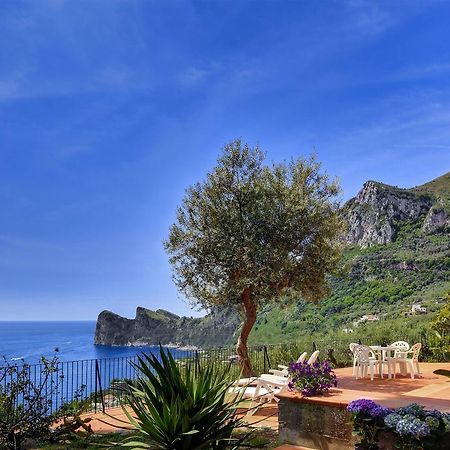 Casa Miomar Apartman Massa Lubrense Szoba fotó